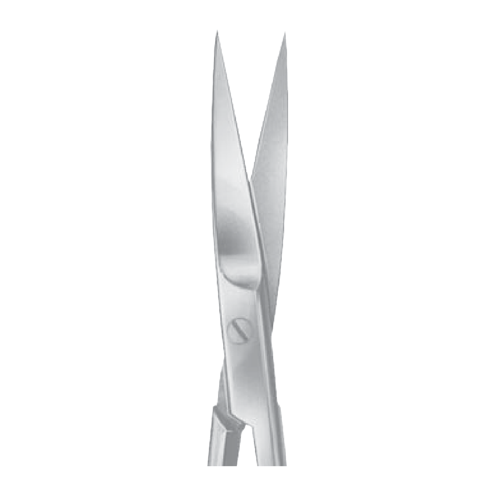 Gum Scissors – BC130R – 120 mm straight