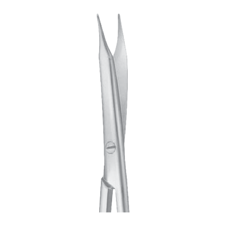 Reynolds Dissecting Scissors – 145 mm