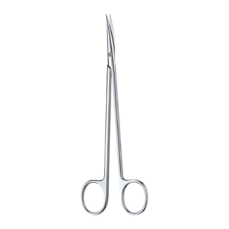 Morse Dissecting Scissors