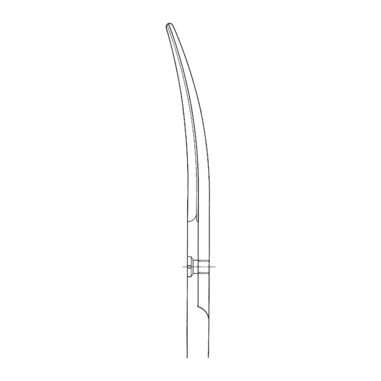 Wertheim Dissecting Scissors – 145 mm