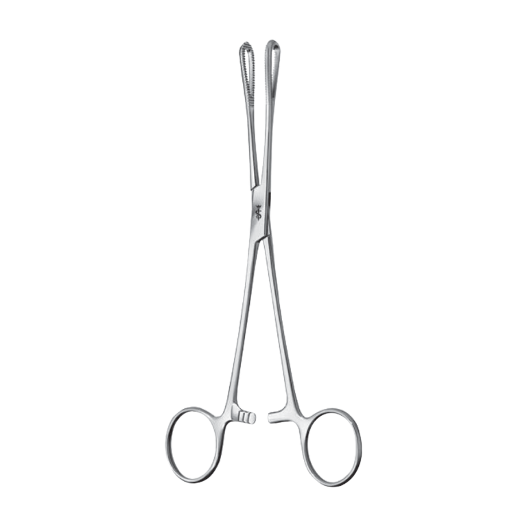 Rampley Sponge/Tissue Forceps – Straight / 180 mm · 7″