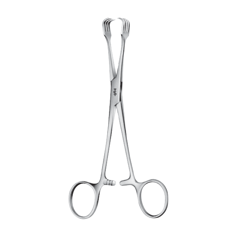 Braun Tenaculum Forceps – Straight / 4 x 4 prongs / 155 mm · 10 mm · 8″