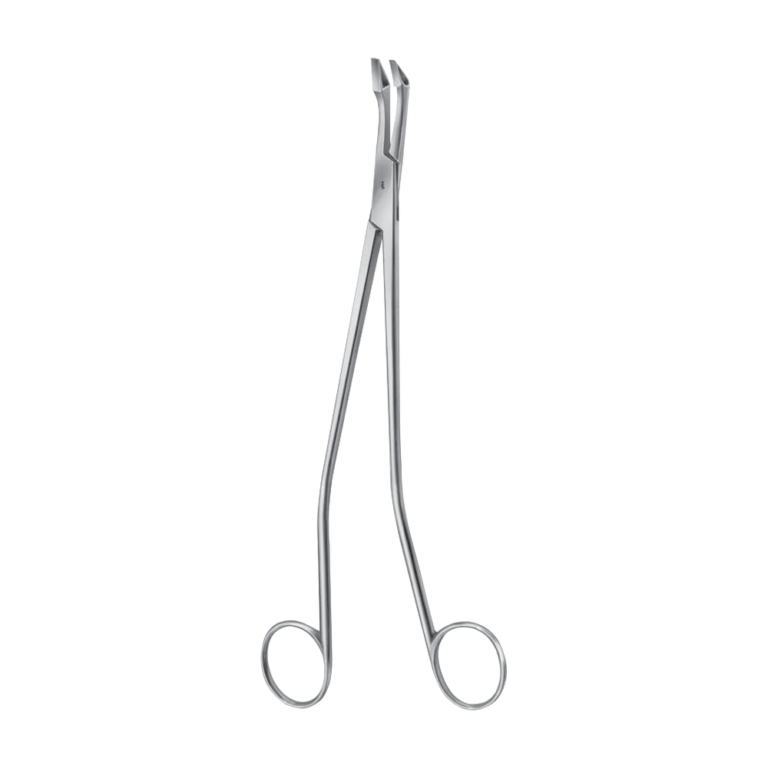 Schumacher Biopsy Forceps – Curved / 240 mm · 2″ (ER061R)