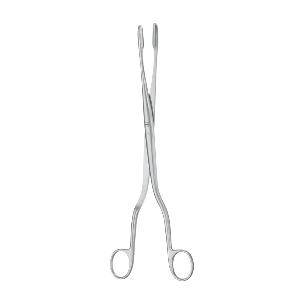 ET301R Winter Placenta/Abortus Forceps – Straight / 290 mm · 2″ (ET301R)