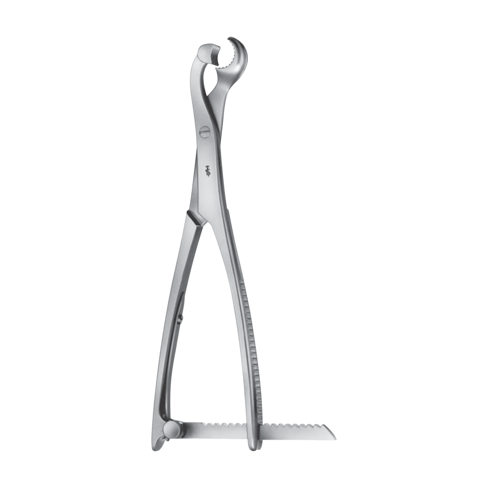 FO160R Lambotte Bone Holding Forceps – Straight / 10 mm · 220 mm · 4″