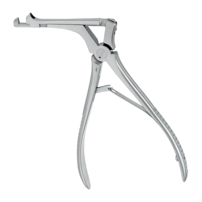 Citelli Bone Punch