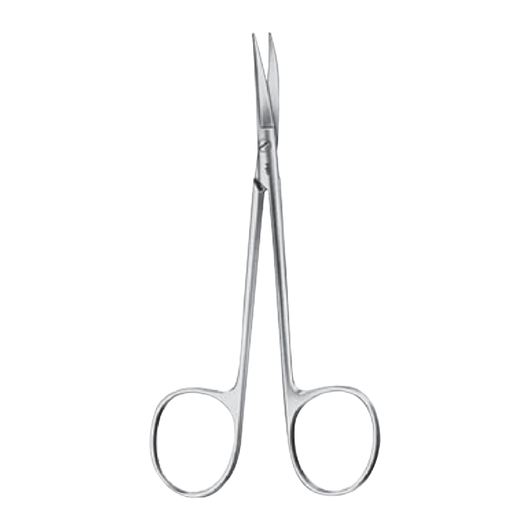 Cottle Dissecting Scissors