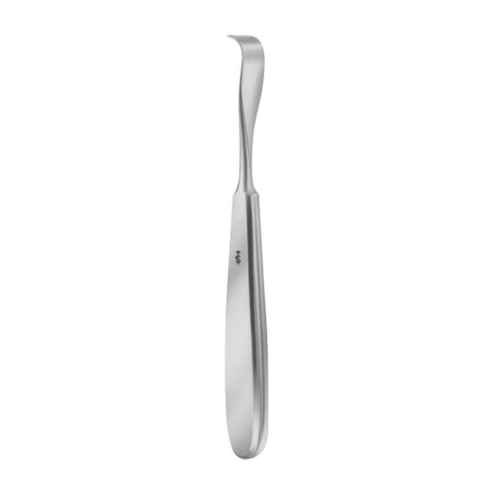 FK365R Schneider Raspatory