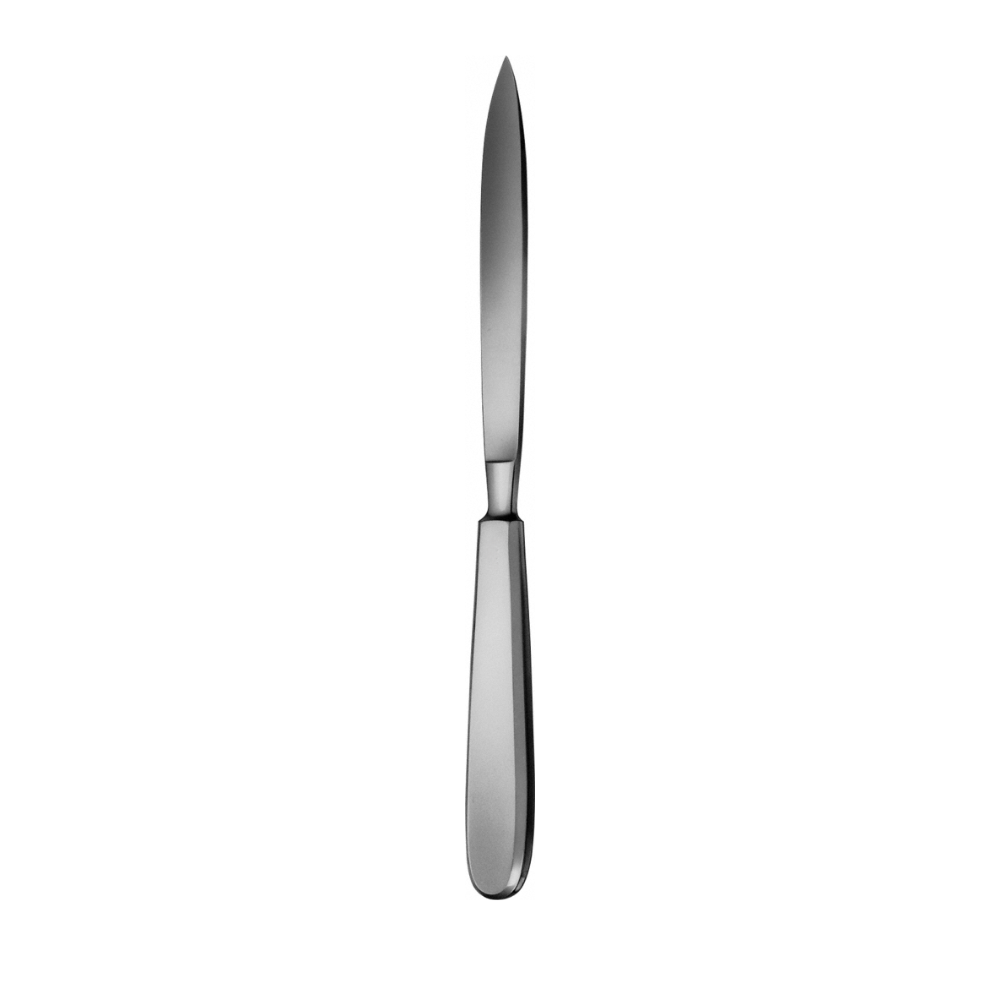 LISTON Amputation Knife, 265 mm (10 1/2″), blade length: 130 mm